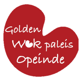 wok zonder achtergrond